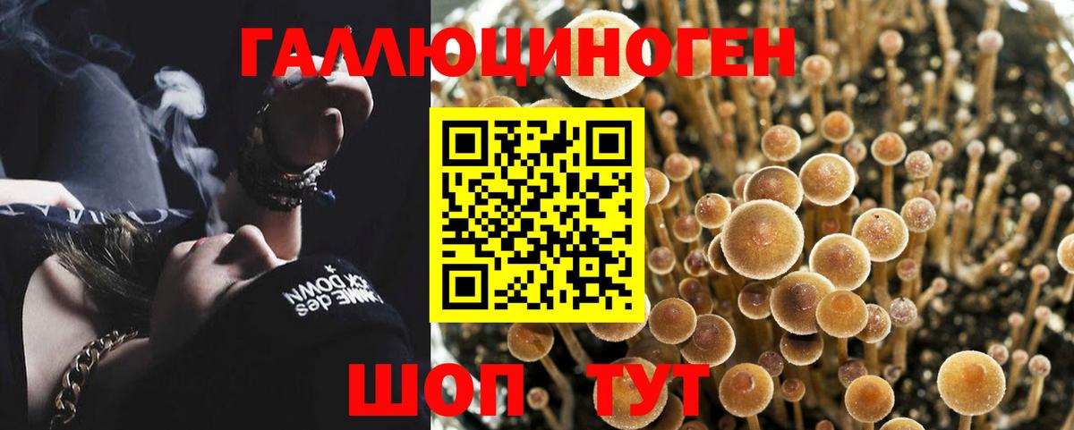Галлюциногенные грибы мухоморы  Вход с VPN  Лесосибирск 